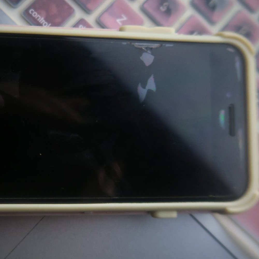 iPhone SE